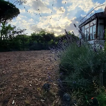 Tenuta Sgb - Il Profumo Del Vino Etna ניקולוסי