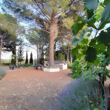 וילה Tenuta Sgb - Il Profumo Del Vino Etna *